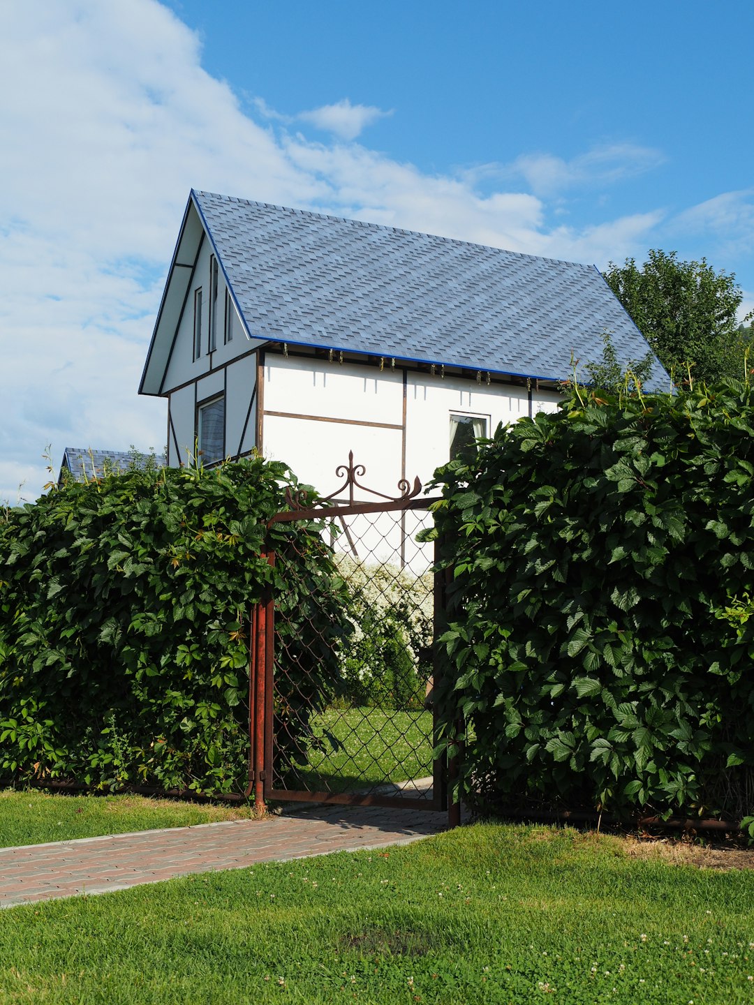 Net-Zero Family Home