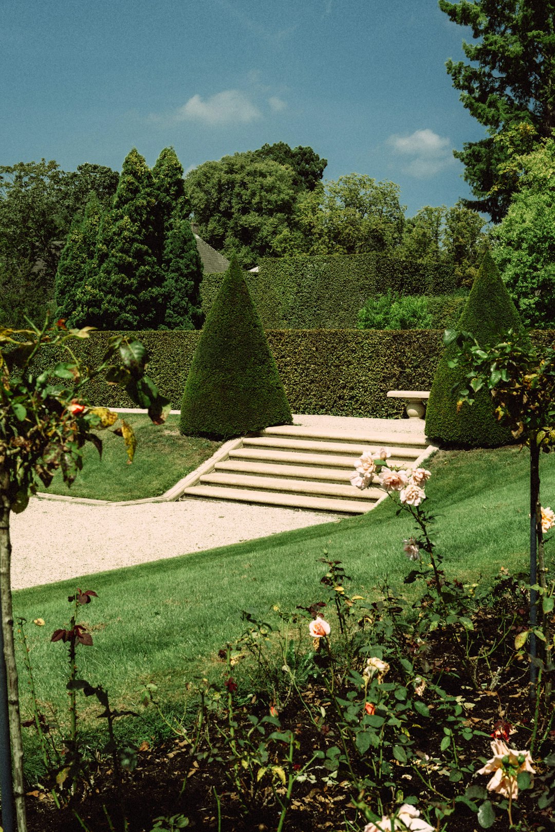 Zen Garden Courtyard