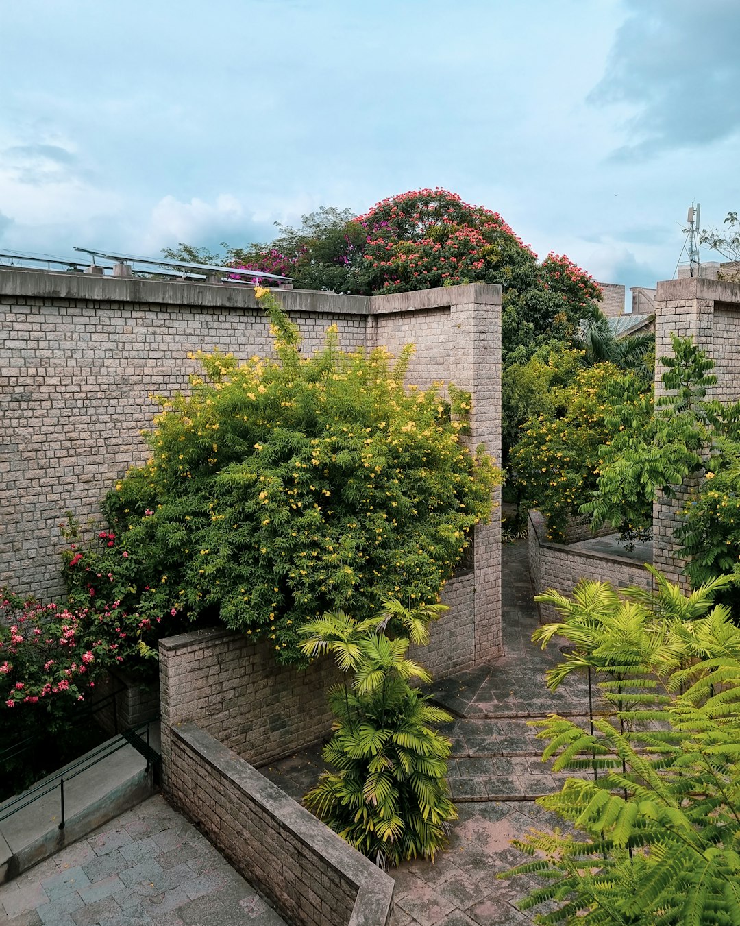 Rooftop Terrace Garden