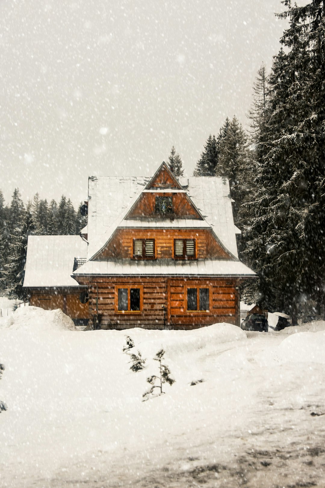 Forest Retreat Home