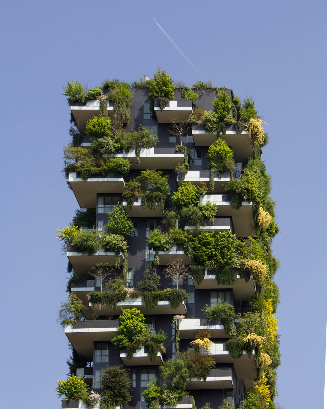 Eco-Friendly Design