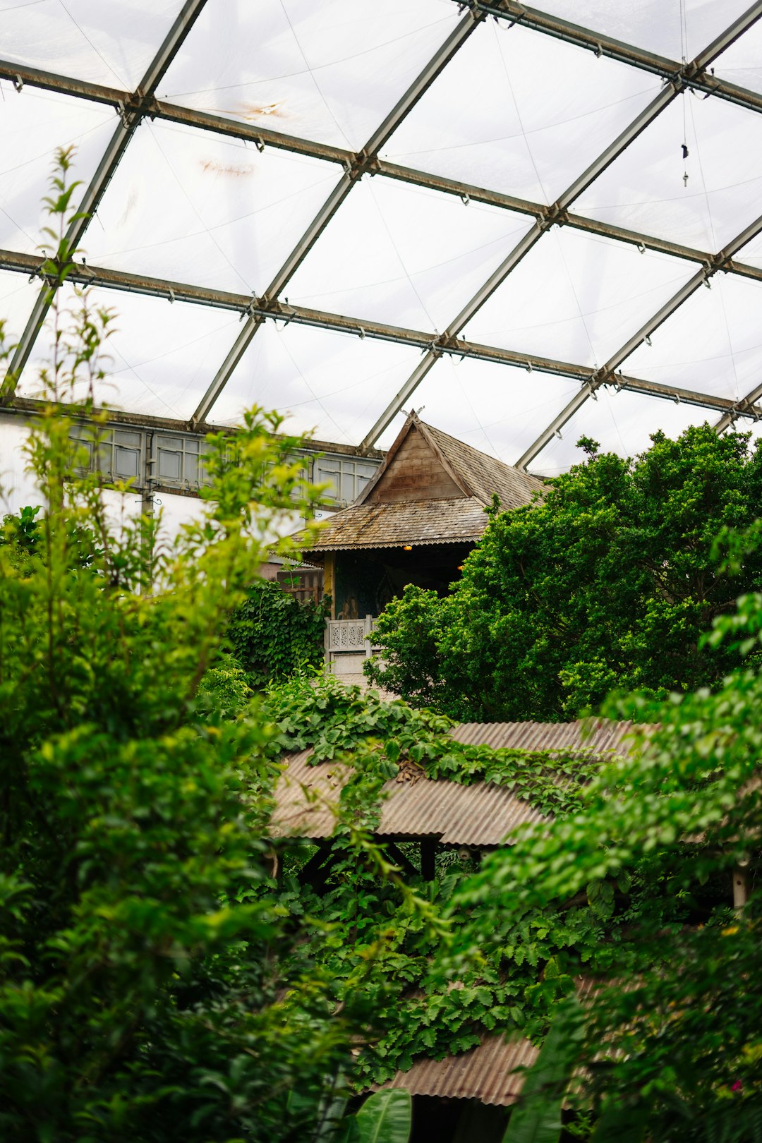 Green Roof Residence